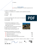 Chirilov Paula - Test de Evaluare Elemente de Geografie Ale Orizontului Local