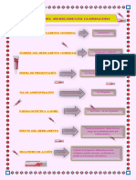 Informe Del Medicamento Clorincort PDF