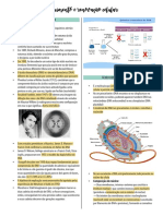 Resumo Crescimento e Renovação Celular PDF