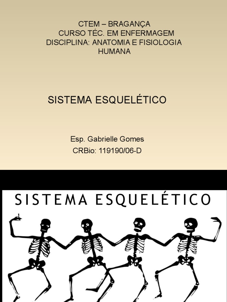 Aula 4 - Sistema Esquelético, PDF, Esqueleto