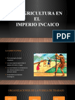 LA AGRICULTURA INCAICA 2.pptx