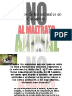 Derechos de Los Animales en Colombia