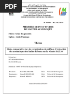 Memoire Finale PDF