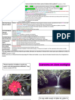 Cuaresma en clave ecológica2020 - definitivo.pdf