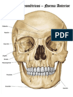 Puntos Craneometricos Compress