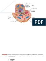 La-Celula Compress PDF