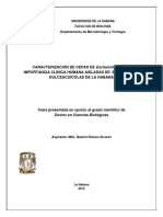 Romeu Alvarez PDF