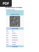 Download Saccharomyces cerevisiae by Diego Alejandro Osorio Arias SN48074792 doc pdf