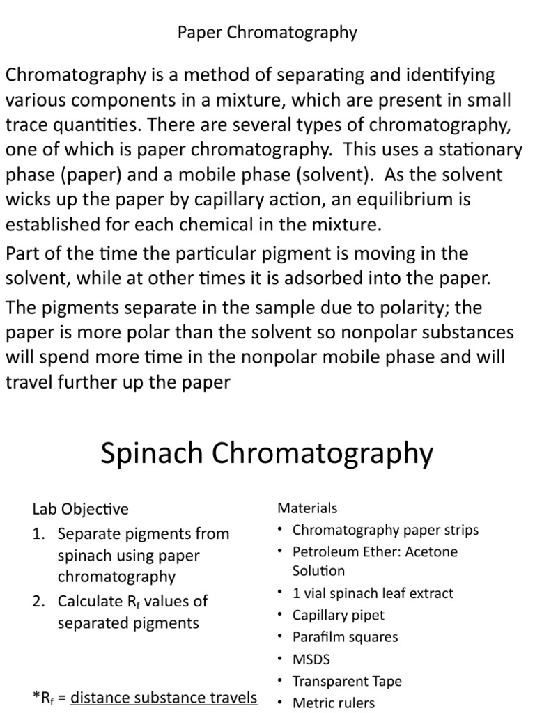 Spinach Chromatography Lab PDF Chromatography Solvent
