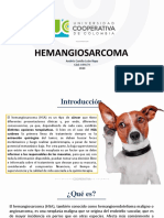 Hemangiosarcoma Diapositivas