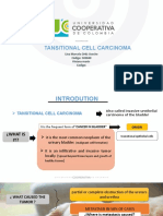 Carcinomas Celulas Transicionales Final