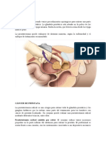 Cirugía de la próstata: prostatectomía radical y laparoscópica