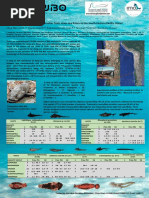 Metazoan Parasites From Deep-Sea Fishes in The South Eastern Pacific Ocean