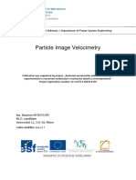 PIV Datos PDF