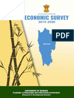 Mizoram Economic-Survey-2019-20 PDF