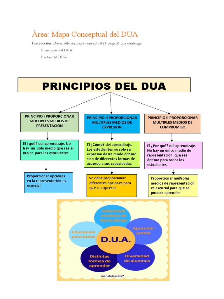 Principios del DUA: Mapa Conceptual | PDF | Crecimiento personal y ...
