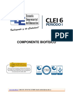 modulo clei 6p1.pdf