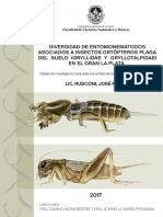 Diversidad de Entomonemátodos Asociados - pdf-PDFA1b