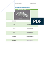 Taxonomia Dominio Archaea