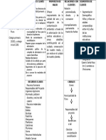 Canvas Arborizacion PDF