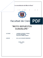 Proyecto de Auditoria PDF