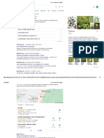 Sen - Buscar Con Google