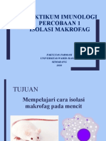 Praktikum Imunologi Percobaan 1 Isolasi Makrofag: Fakultas Farmasi Universitas Wahid Hasyim Semarang 2020