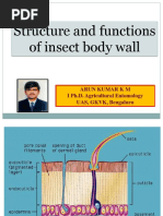 Insect Head and Its Types | PDF