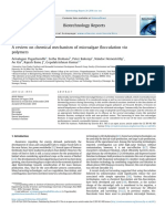 Biotechnology Reports