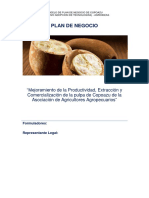 Modelo PNT Copoazu PDF