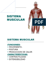 Anatomia 1.sistema Muscular