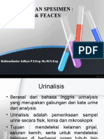 Pemeriksaan Urine & Feses