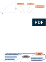 Estructura Directiva