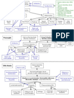 Respiratory Pathophysiologies