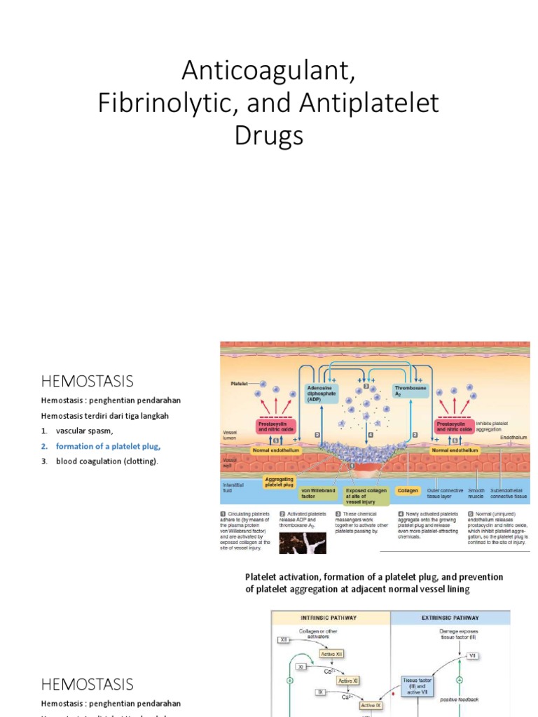 Anticoagulant, Fibrinolytic, and Antiplatelet Drugs | PDF | Coagulation ...