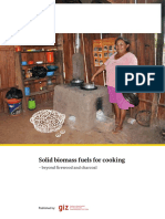 Solid Biomass Fuels For Cooking - Beyond Firewood and Charcoal. GIZ 2017 PDF