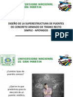 DISEÑO DE LA ESTRUCTURA DE UN PUENTE (1).pdf