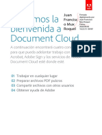 Firma Electronica PDF