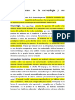 Principales Ramas de La Antropología y Sus Características