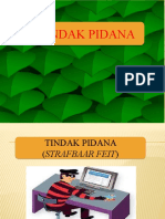 Hk Pidana.3 Tindak Pidana.pptx