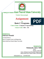 Jatiya Kabi Kazi Nazrul Islam University: Assignment