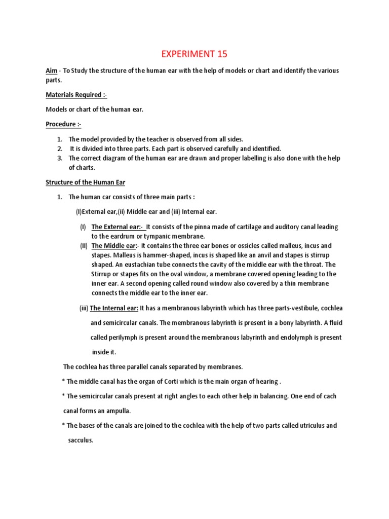 Experiment 15: Aim - To Study The Structure of The Human Ear With The ...