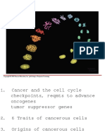 cancer-1.ppt