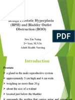 Benign Prostatic Hyperplasia (BPH) and Bladder Outlet Obstruction (BOO)