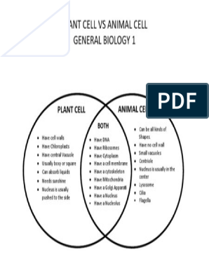 Day 1 Venn Diagram Plant Vs Animal Cell | PDF