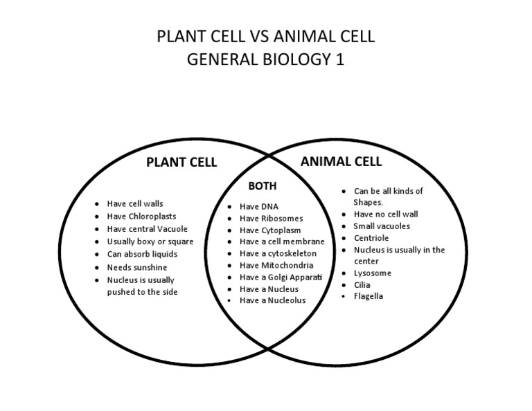 Day 1 Venn Diagram Plant Vs Animal Cell | PDF