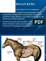 KLP 3 - Herbivora Non - Ruminansia - Kuda
