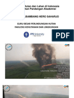 Kebakaran Hutan Dan Lahan Di Indonesia Berdasarkan Pandangan Akademisi