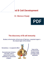 B Cells and B Cell Development: Dr. Mansour Elyazji