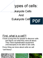 Two Types of Cells:: Prokaryote Cells and Eukaryote Cells